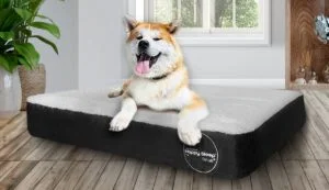 Colchones para perros grandes cheap