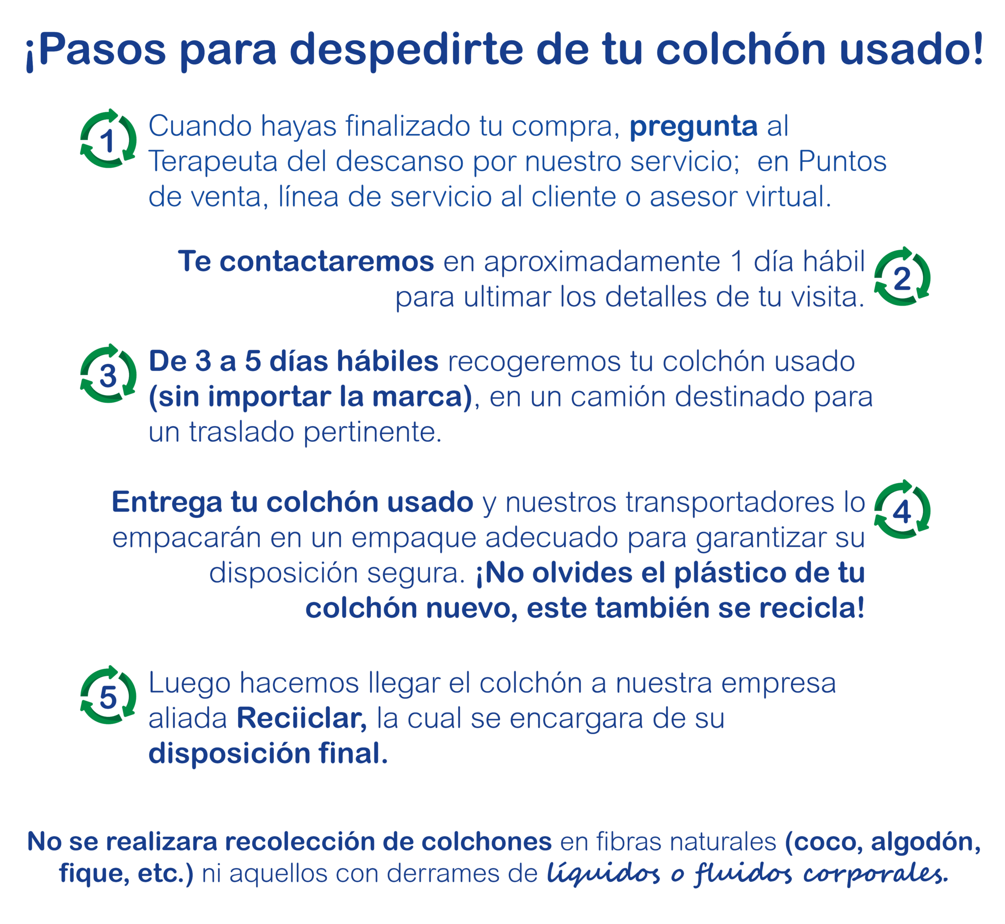 eco-dream-pagina web-06