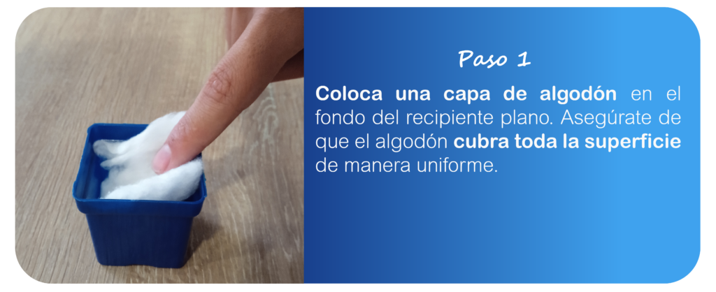 pagina semillas de chía