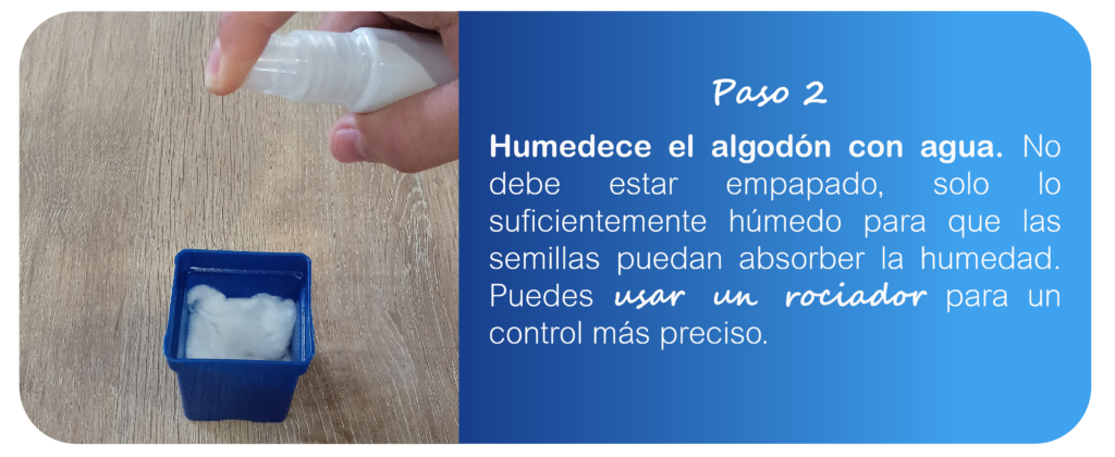 pagina semillas de chía