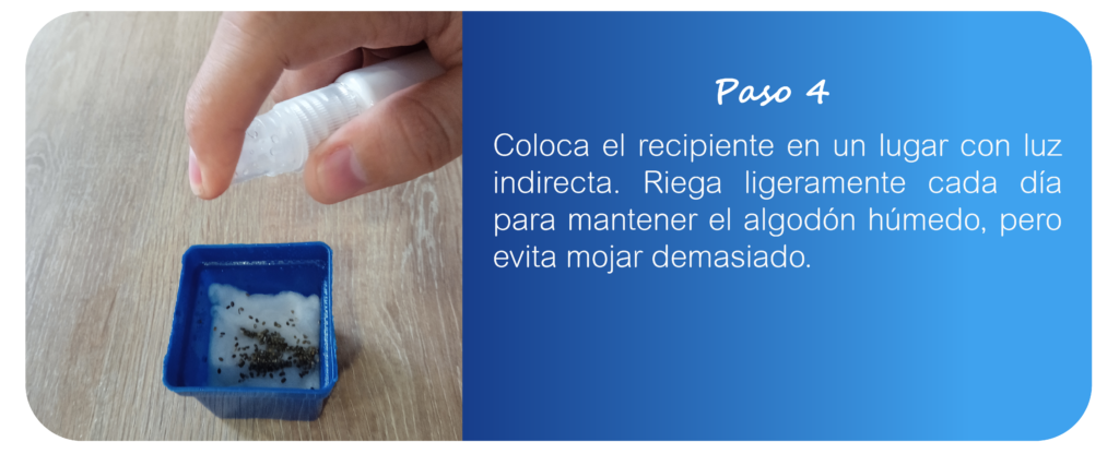 pagina semillas de chía